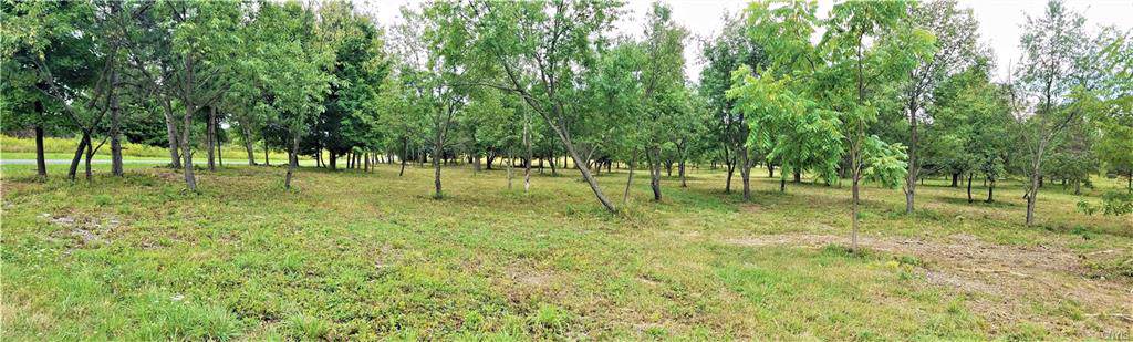 Parcel 4 Satterly Hill Road - Photo 1