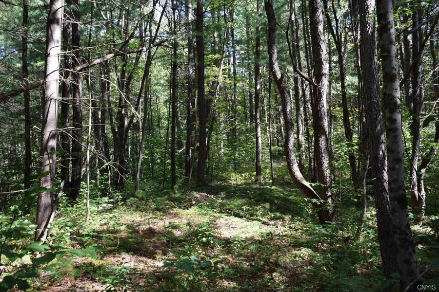53 Railroad St. - Lot #4 - Photo 1