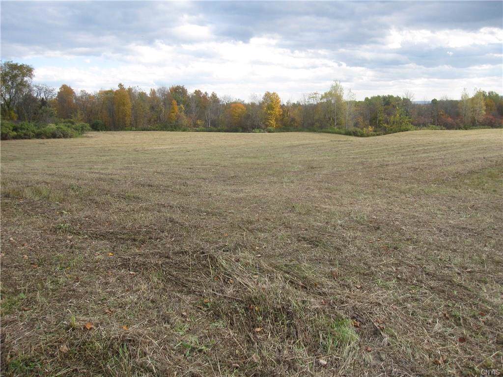 0 Bronner Road - Photo 1