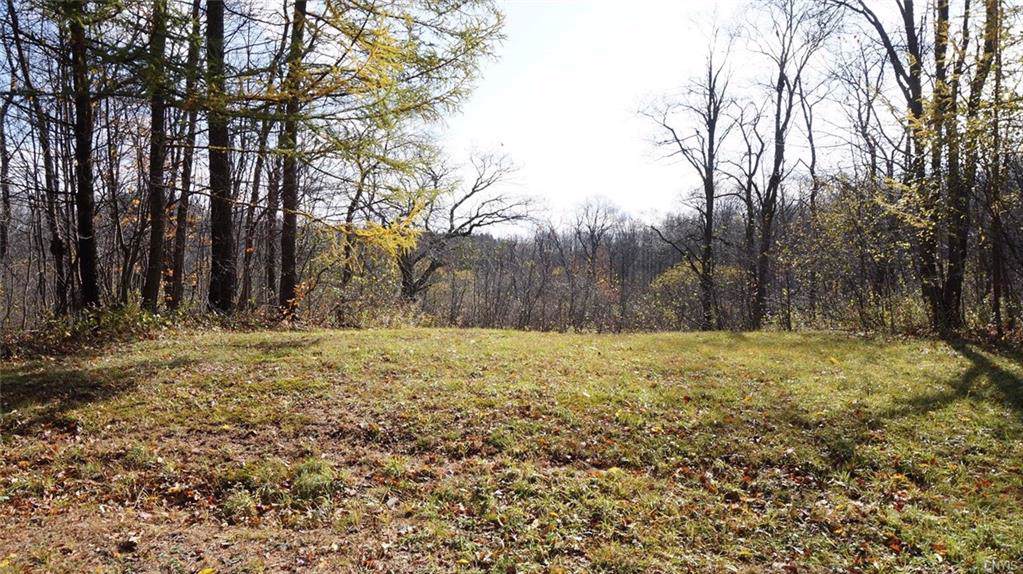 7199 County Route 17 - Photo 1