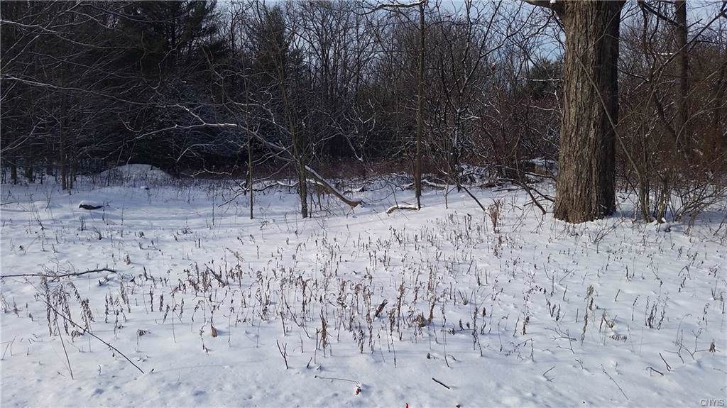 Lot 2 Pangborn Road - Photo 1