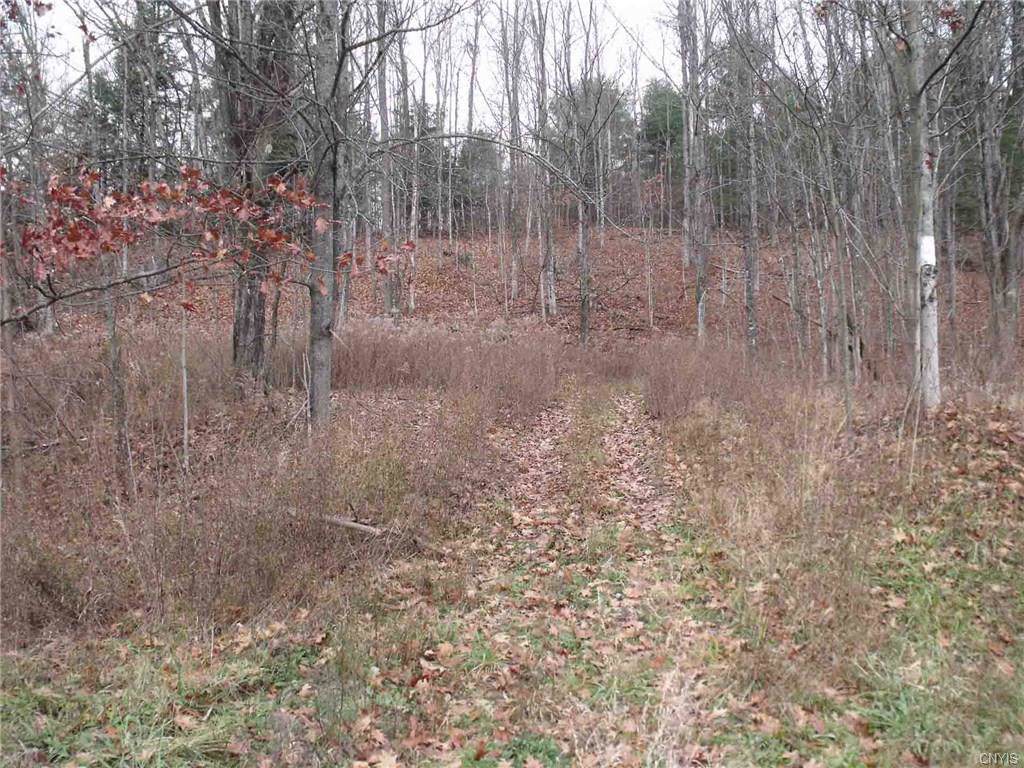 0 State Route 80 - Photo 1