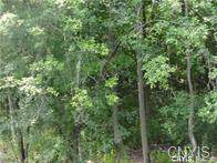 8423 Brae Leure Road - Photo 1