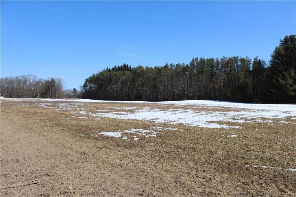 0 Co Rt 48 - Photo 1