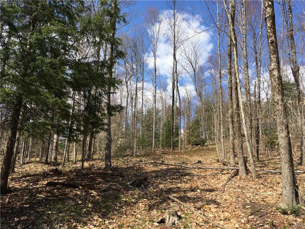 11169 Roberts Road - Photo 1