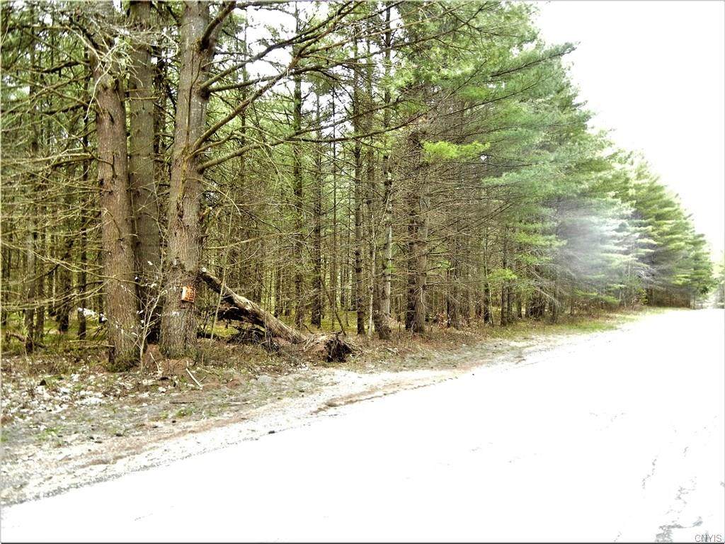 0 Fowlerville Road - Photo 1 0 Fowlerville Road - Photo 1