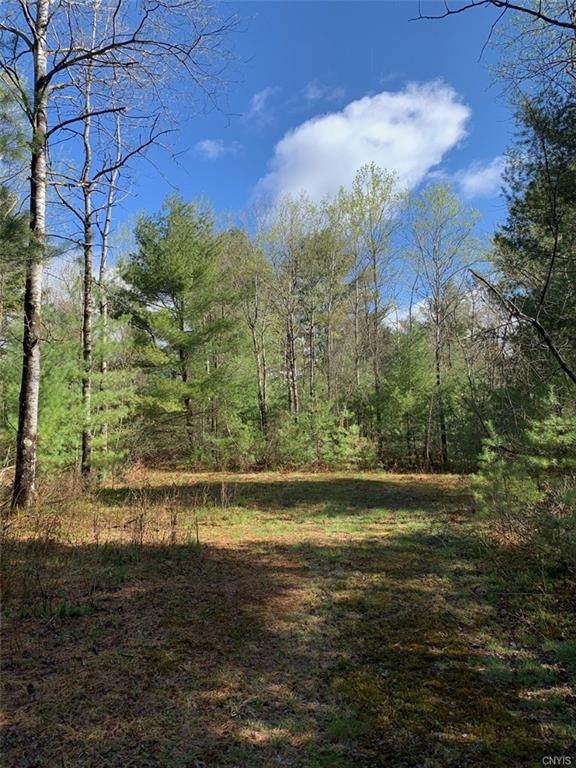 94 Evergreen Lane - Photo 1