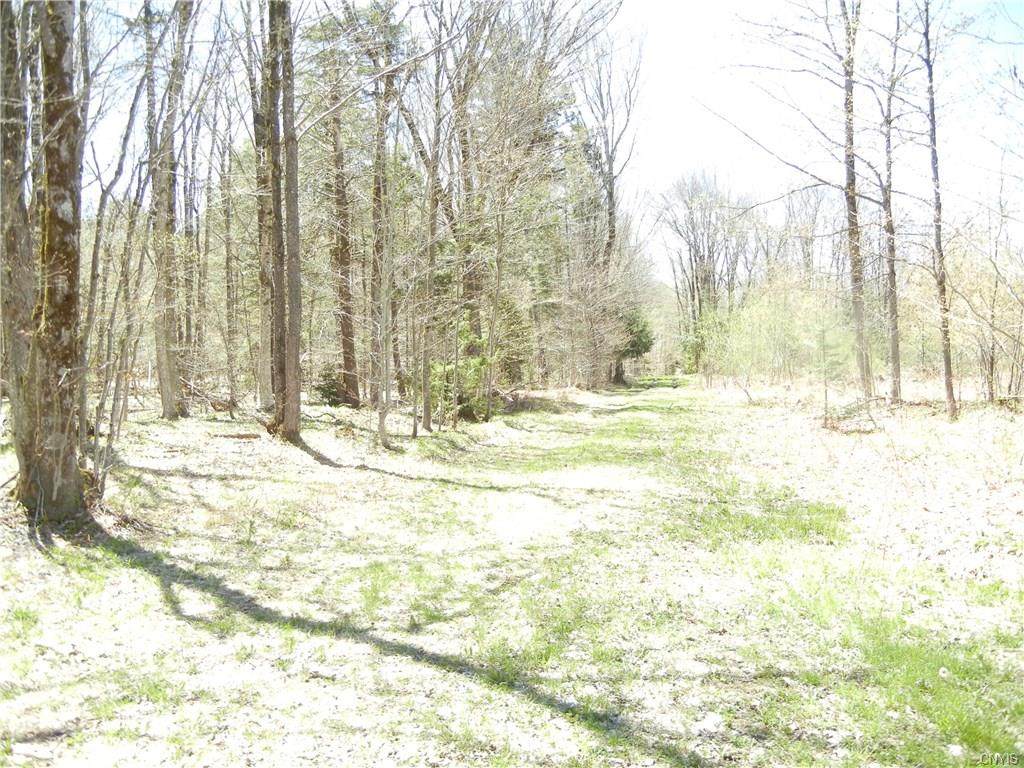 0 Woodlot Road - Photo 1