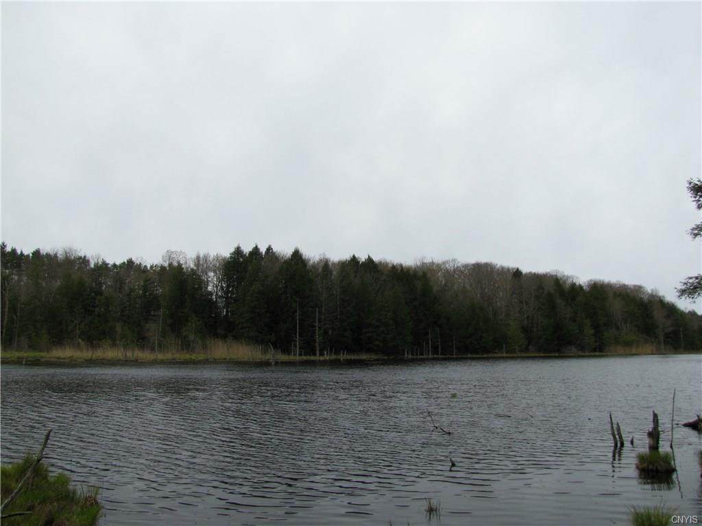 00 Fieldview Lane - Photo 1