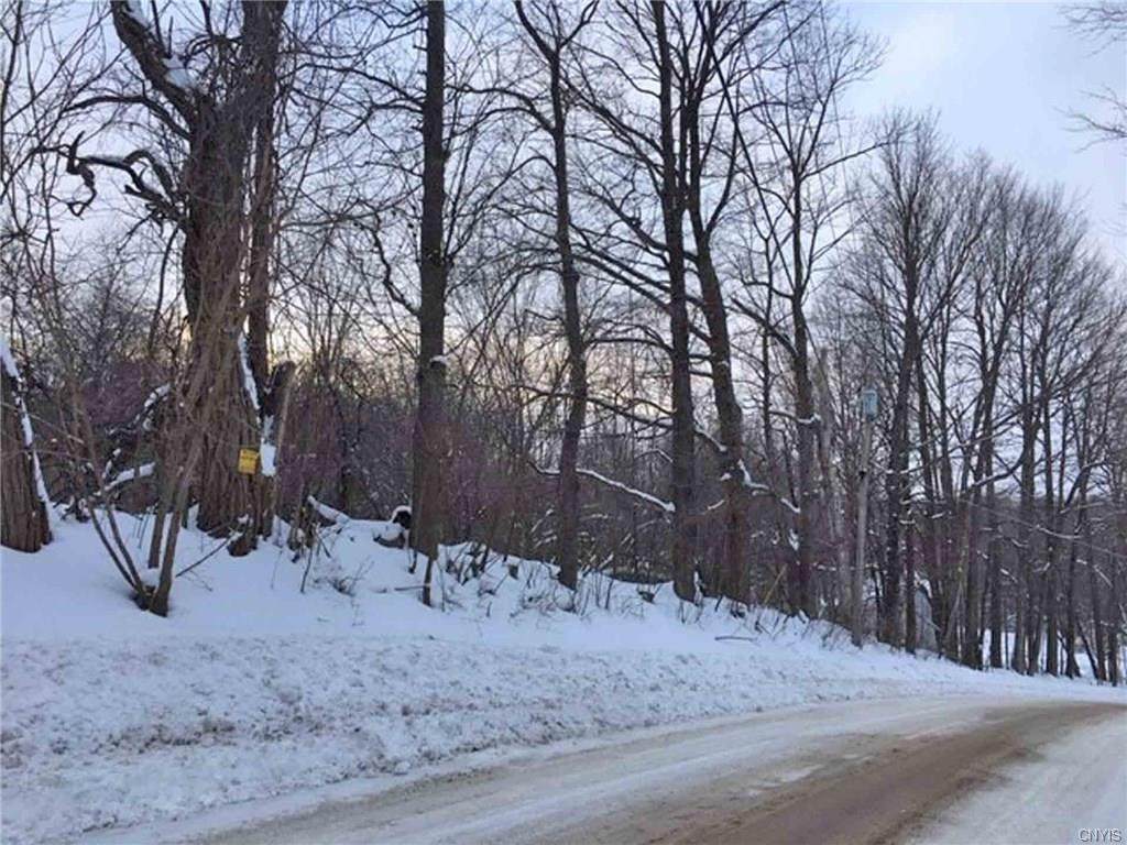 0 Camp Road - Photo 1