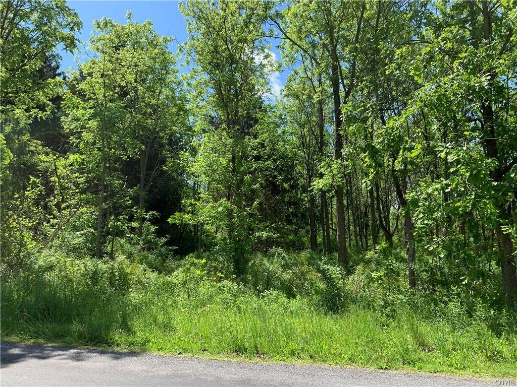 3626 Doyle Road - Photo 1