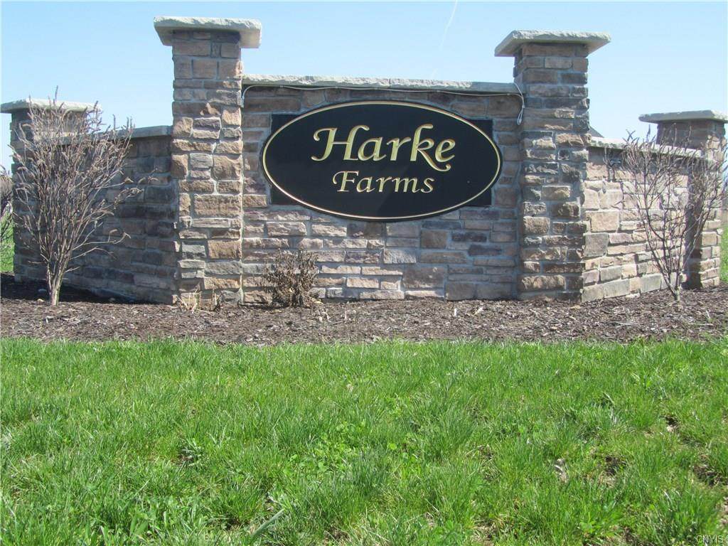 3849 Hallston Drive - Photo 1