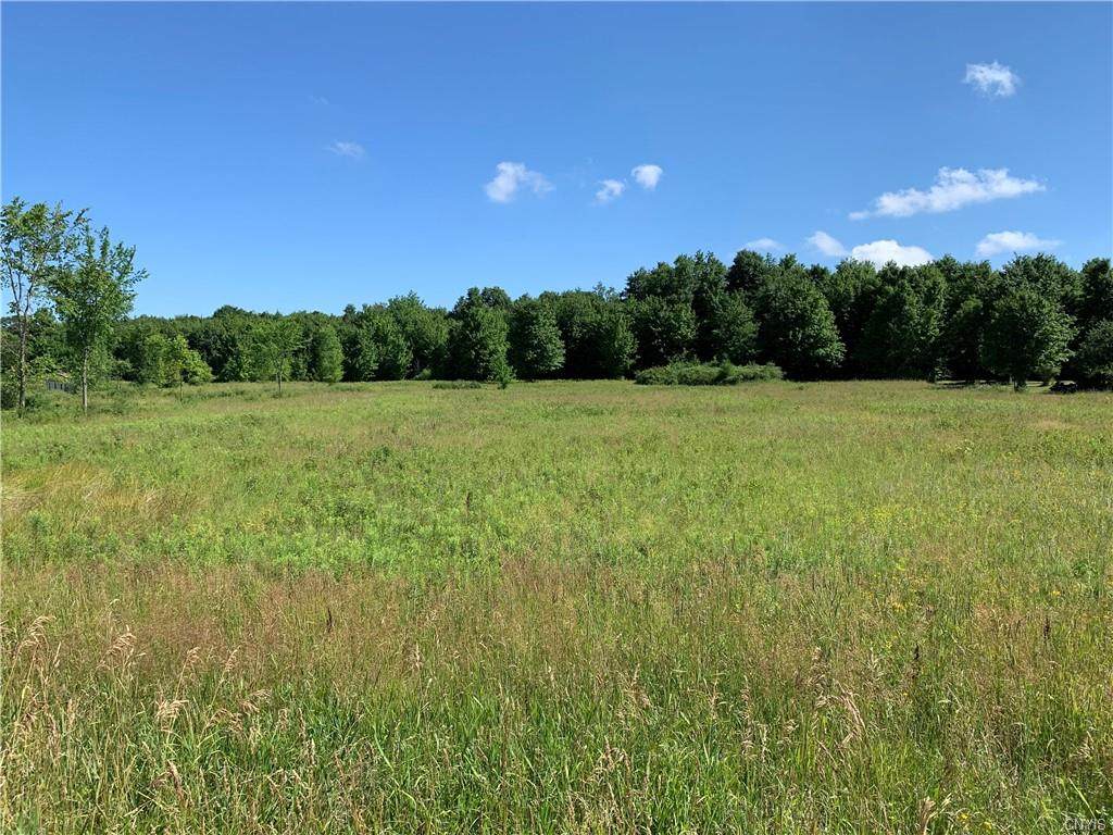 26233 Keyser Road - Photo 1