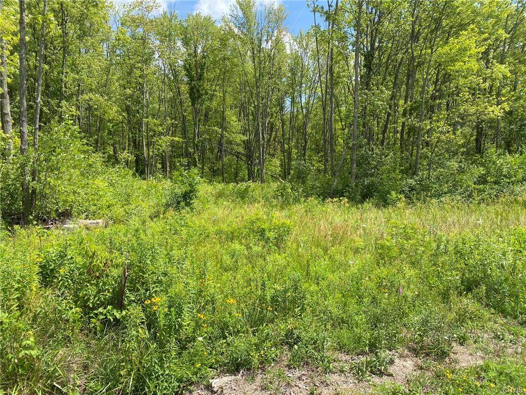 0 Shackelton Point Road - Photo 1
