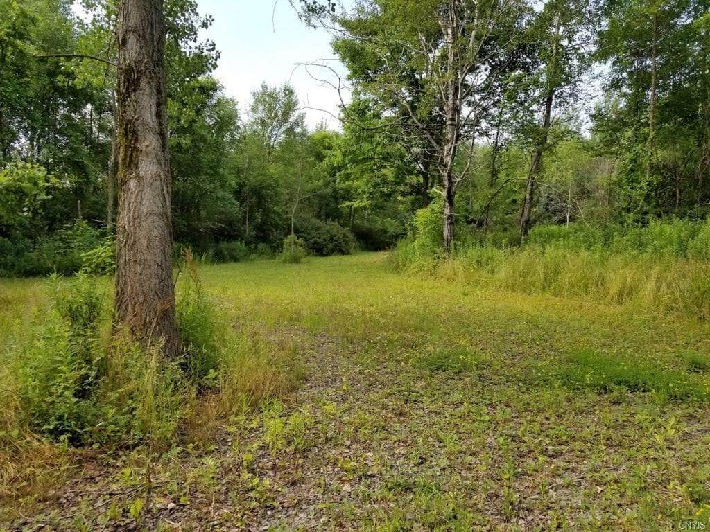 144 Middaugh Road - Photo 1
