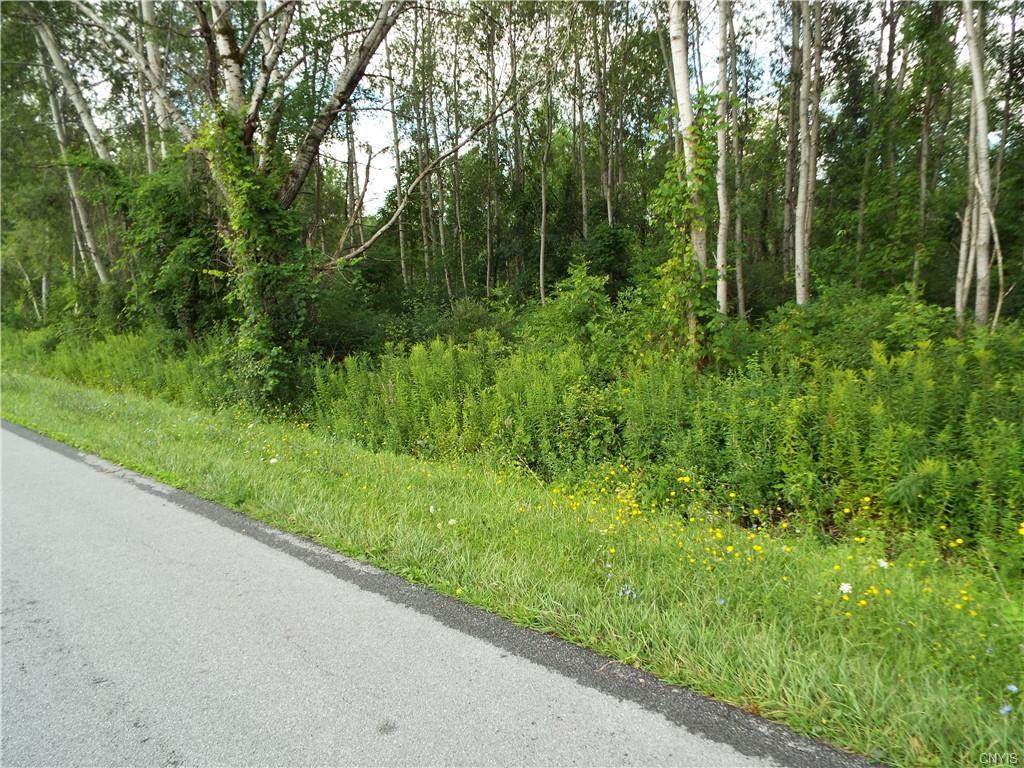 Snell Road (Lot #7) Snell Road - Photo 1
