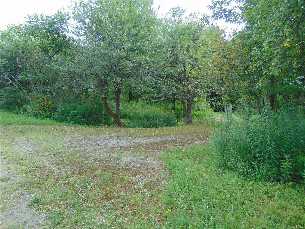 0 Springer Road - Photo 1