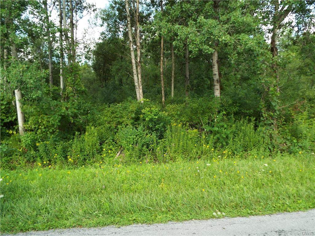 Snell Road (Lot #6) Snell Road - Photo 1