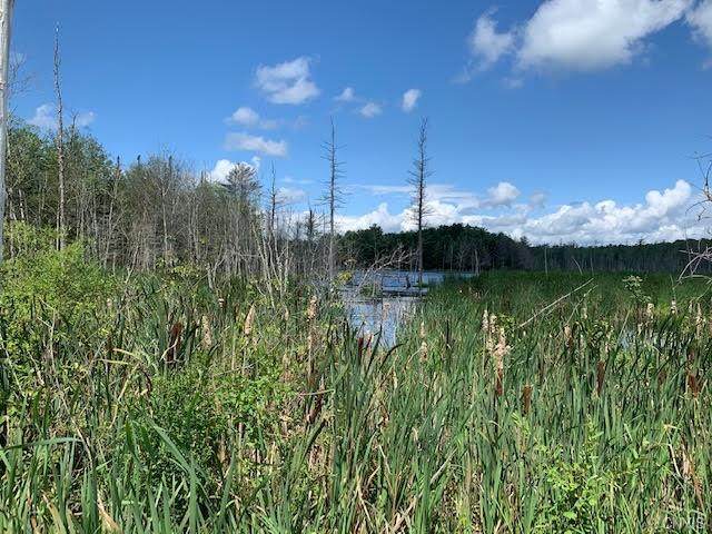 43.5 Acres Cline Road - Photo 1