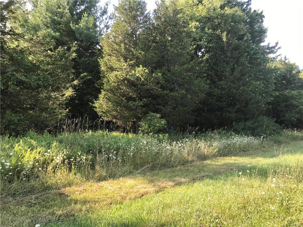 Lot 13 Derouin Lane - Photo 1