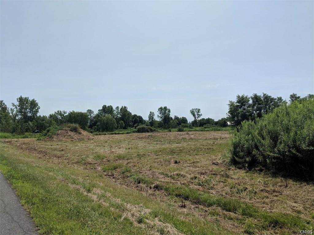 8575 Hertel Road - Photo 1