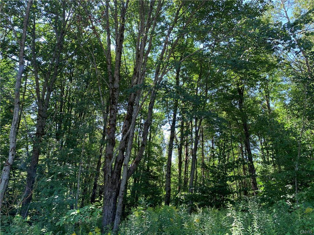 Lot #8 Barniak Drive - Photo 1