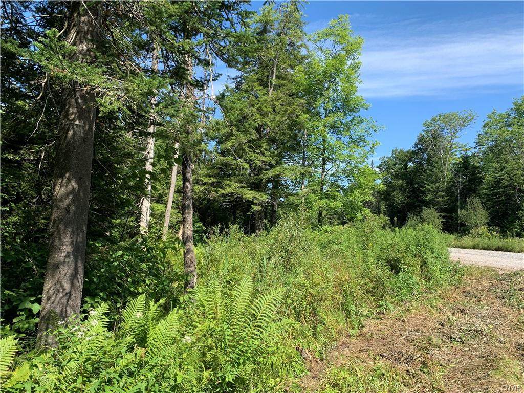 Lot #5 Barniak Drive - Photo 1