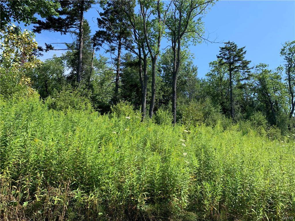 Lot #9 Barniak Drive - Photo 1