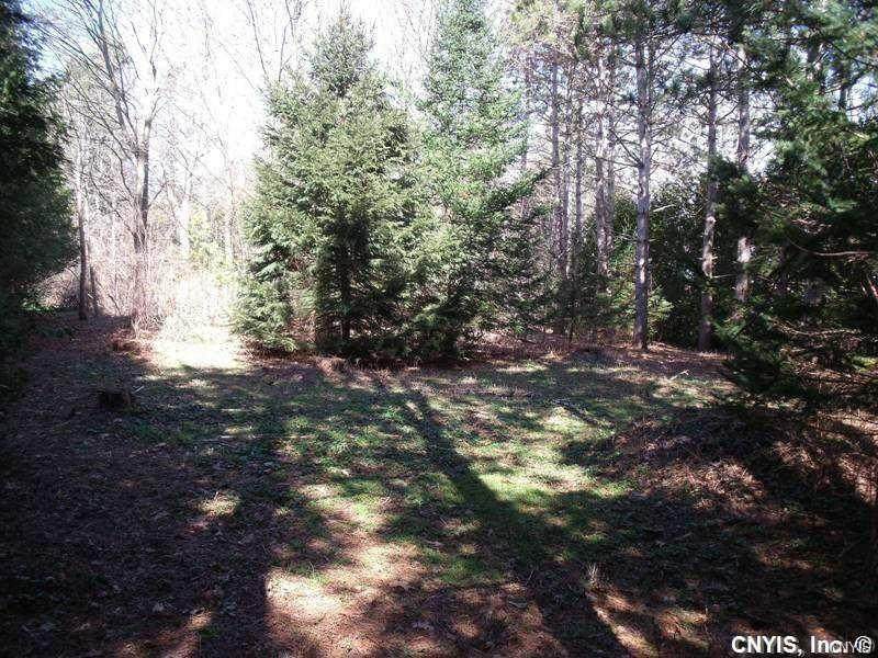 Lot 0 Seneca Beach Drive - Photo 1