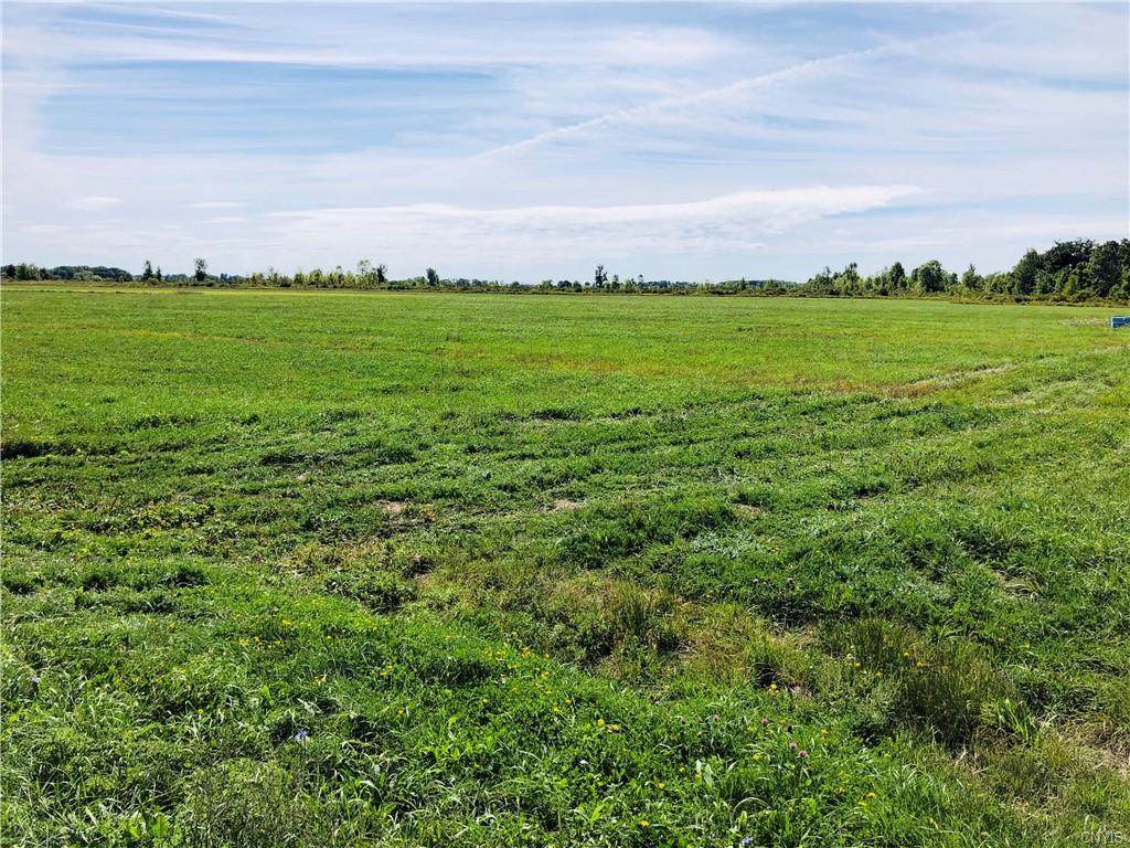 25440 Hard Scrabble Road - Photo 1