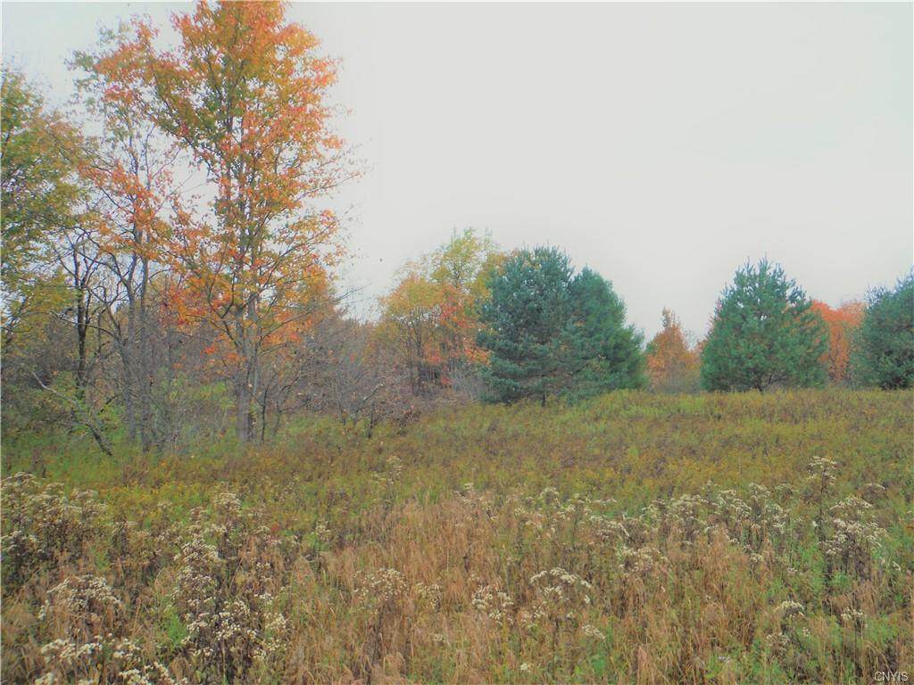 00 Bower Road - Photo 1