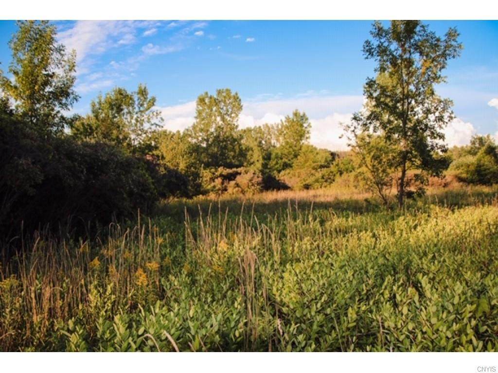 Lot #11 County Line Road - Photo 1