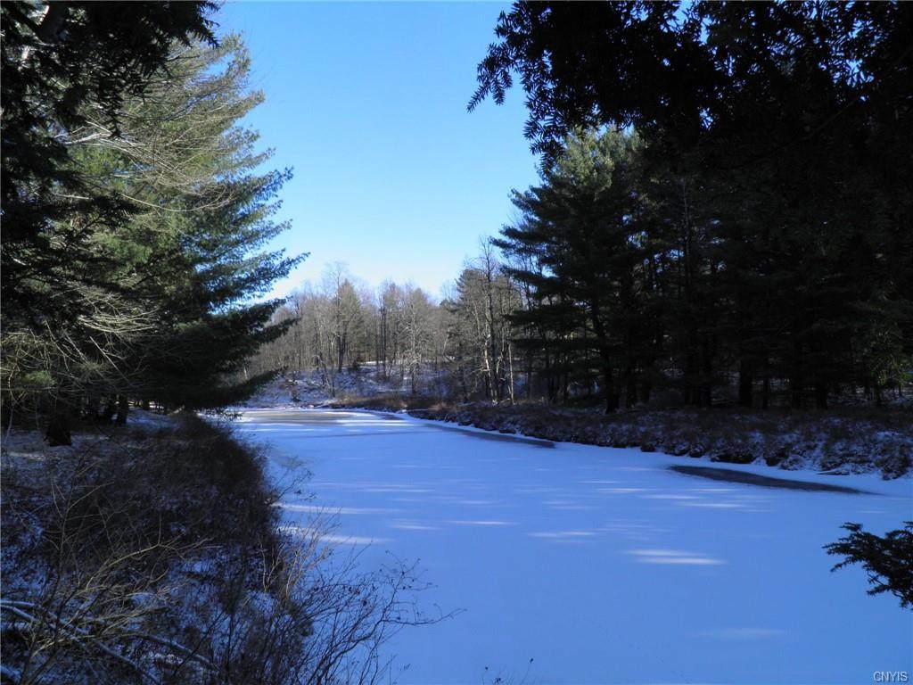 15 Island Branch Road - Photo 1