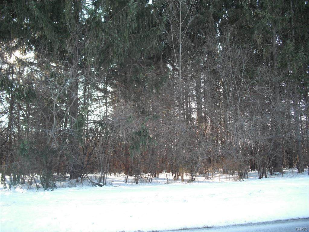 0 Mutton Hill Road - Photo 1