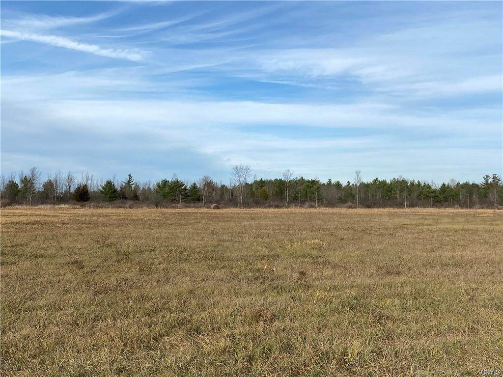000 Game Farm Road Extension - Photo 1