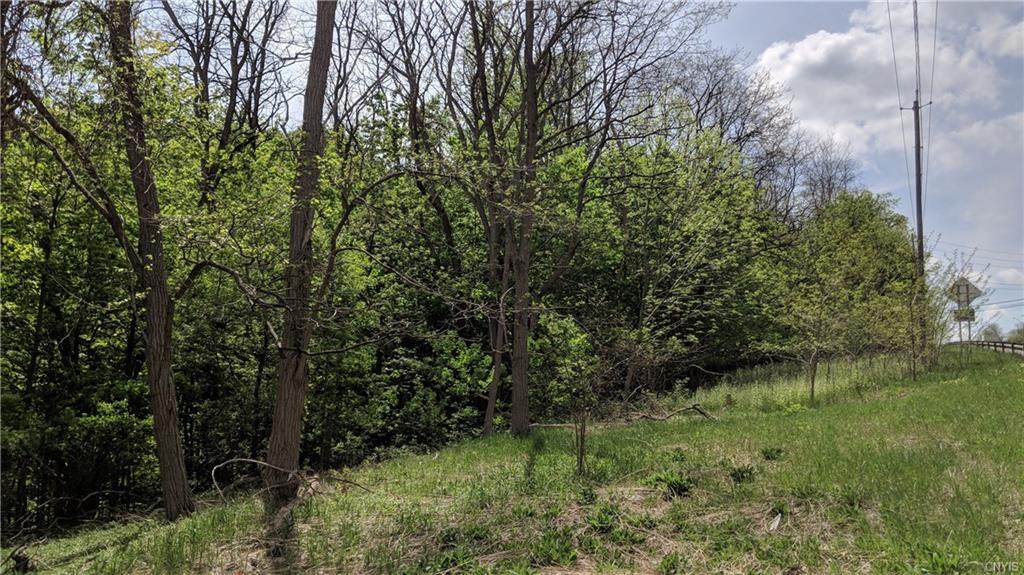 0 Seneca Turnpike - Photo 1