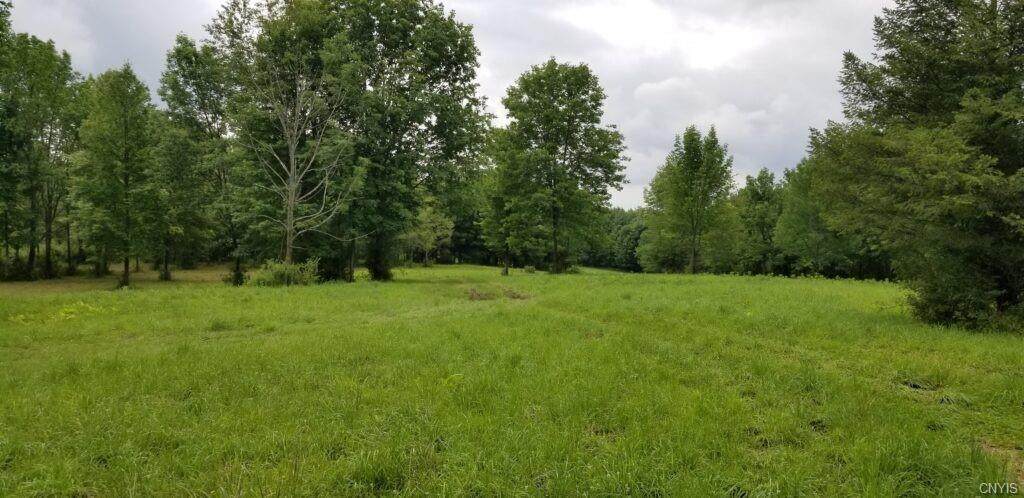 00 Savitch Road - Photo 1