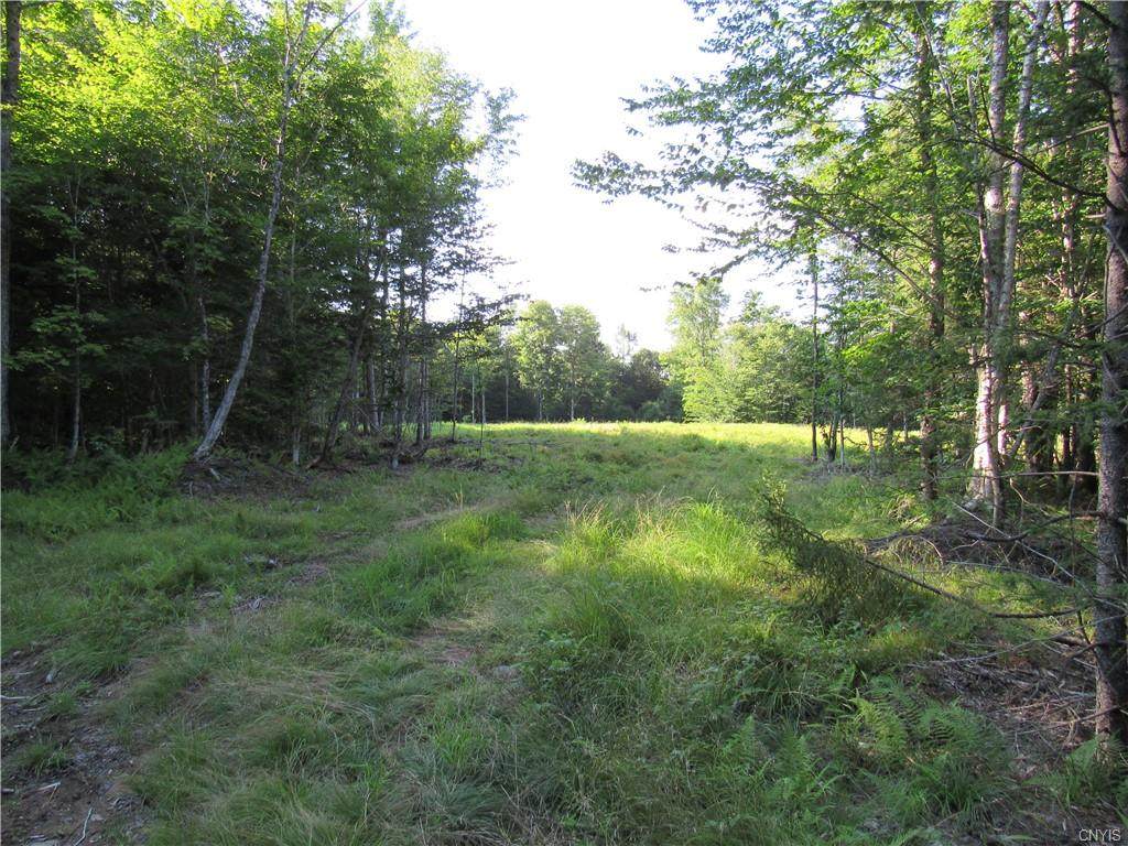 173 Taxi Way - Photo 1