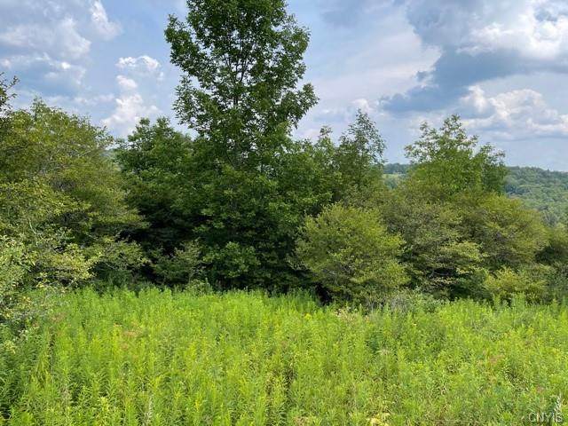 00 Cheningo Solon Pond Road - Photo 1