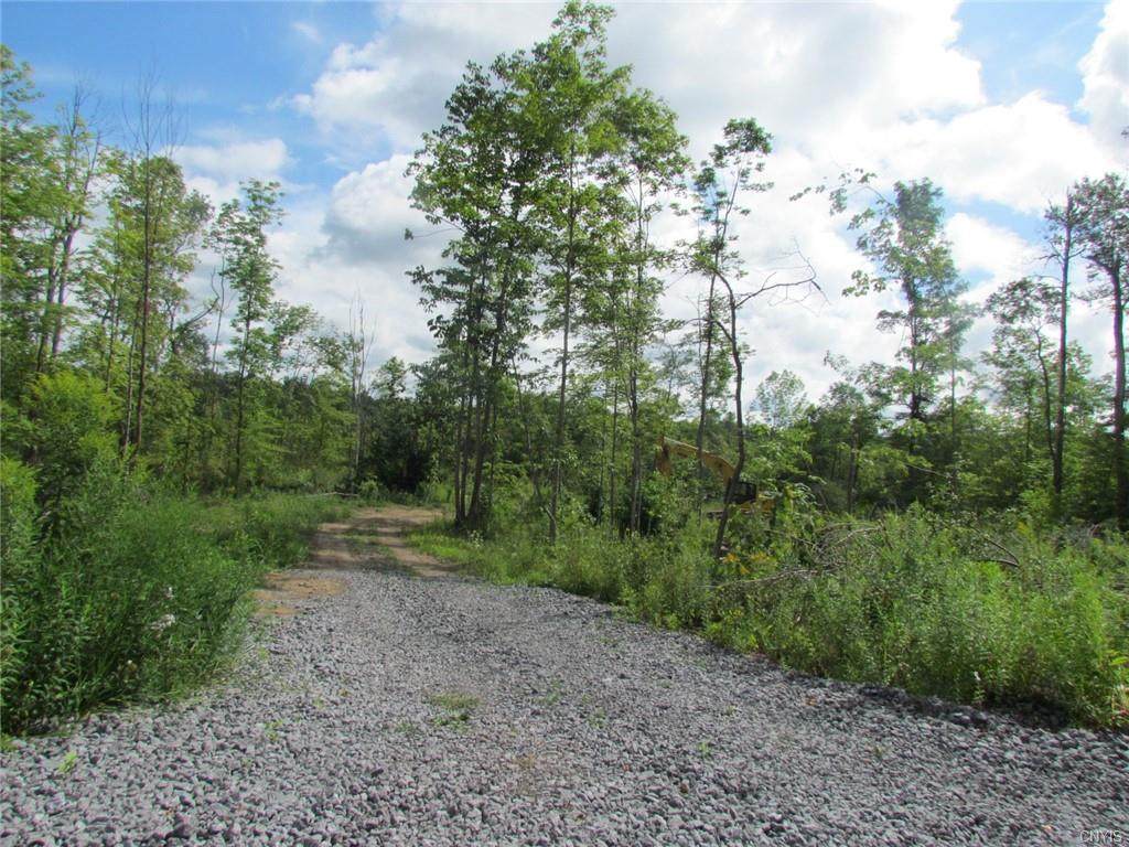 --- Kelpytown Road - Photo 1
