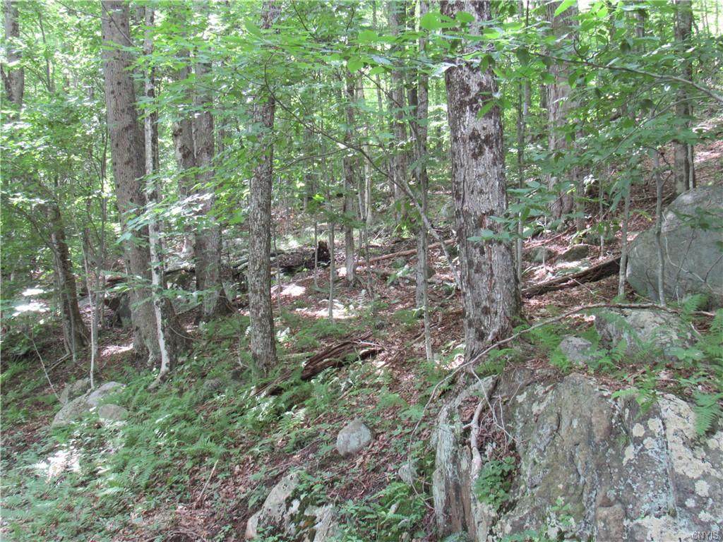 00 Mohawk Dr E - Photo 1