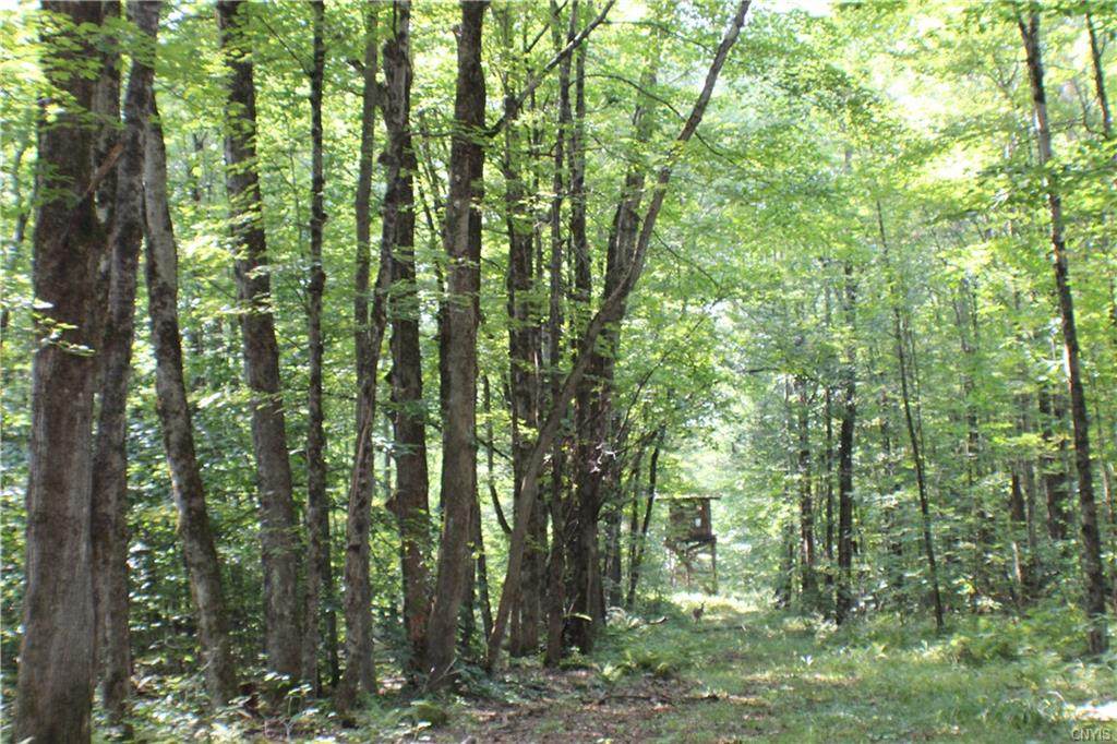 7032 St Rt 29 - Photo 1