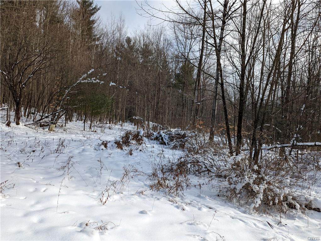 #44 Hemlock Drive Road - Photo 1