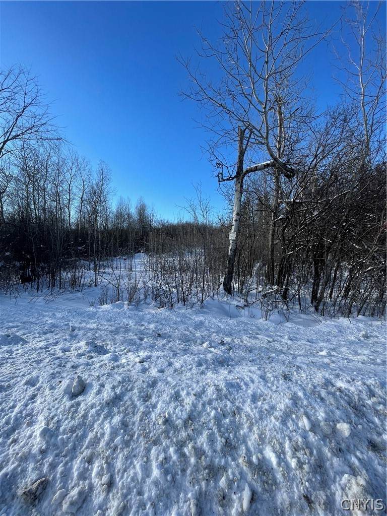 0 Co Route 65 - Photo 1