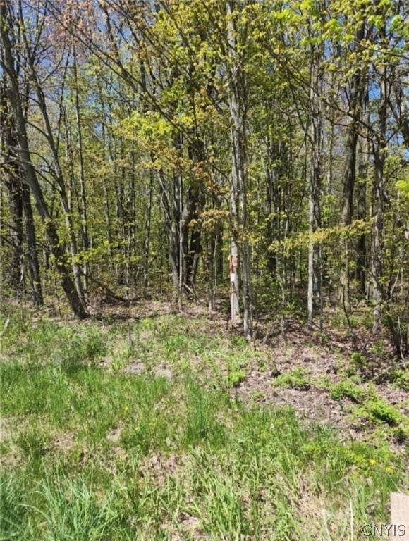 0 Co Rt 45 - Photo 1