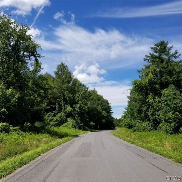 Lot 30 Whitney Farm Lane - Photo 1