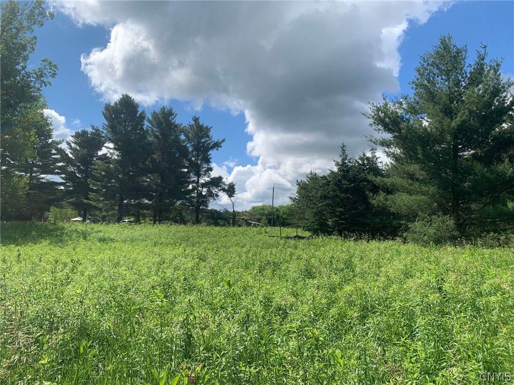 Lot #32 Wheelock Drive - Photo 1
