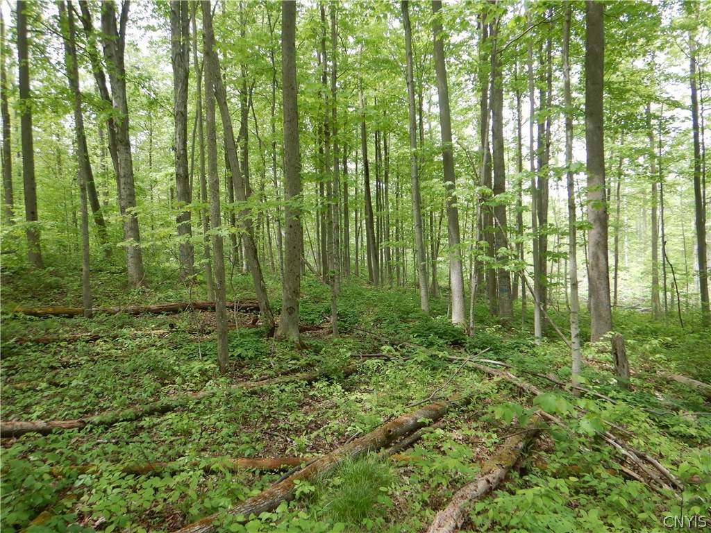 0 County Route 64 - Photo 1