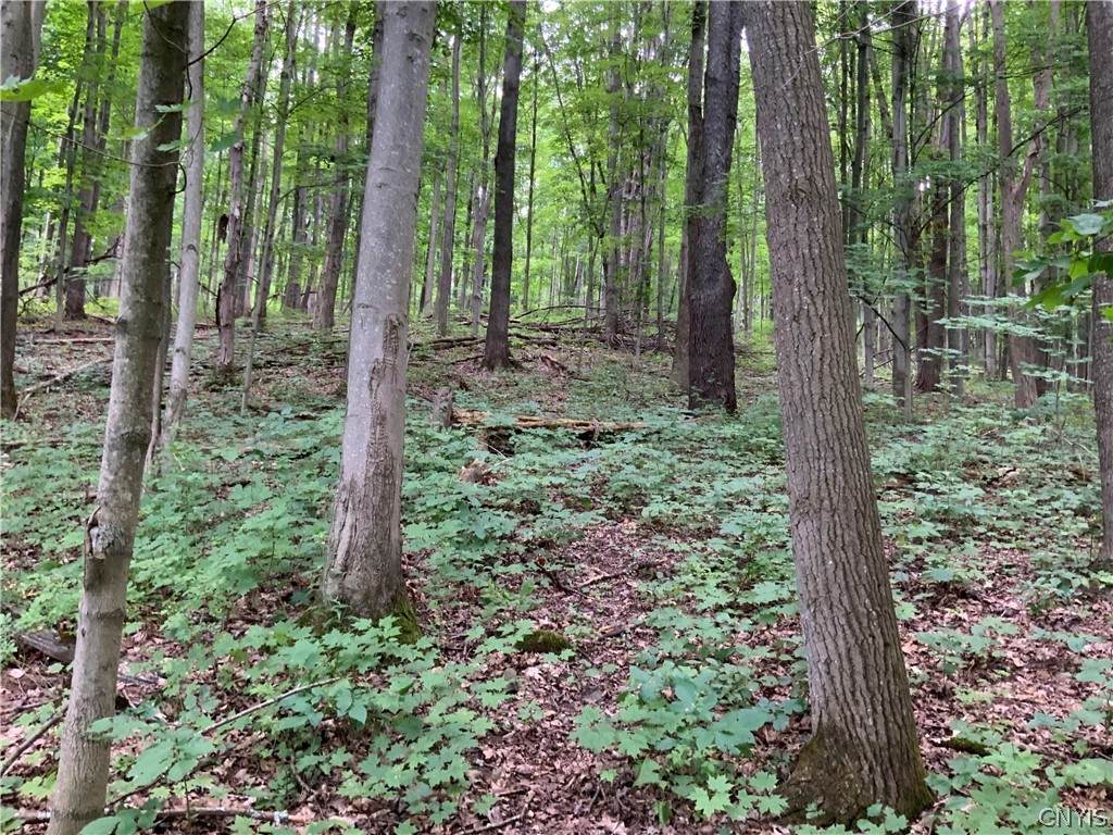 00 Groton Road - Photo 1