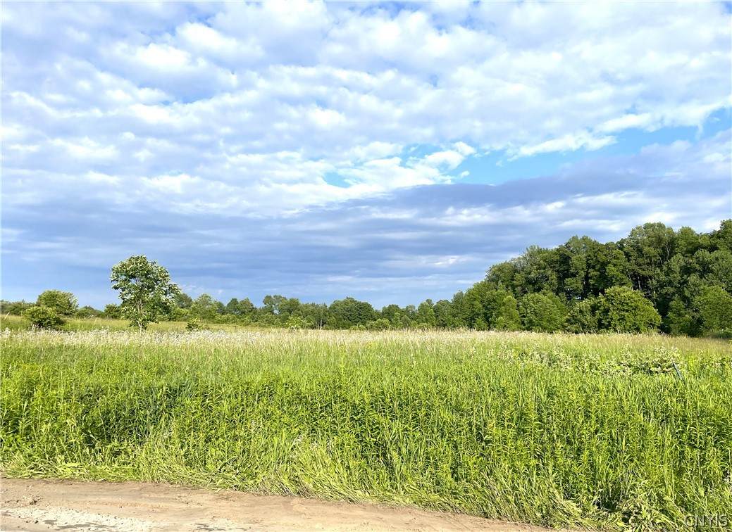 00 Thayer Hill Road - Photo 1